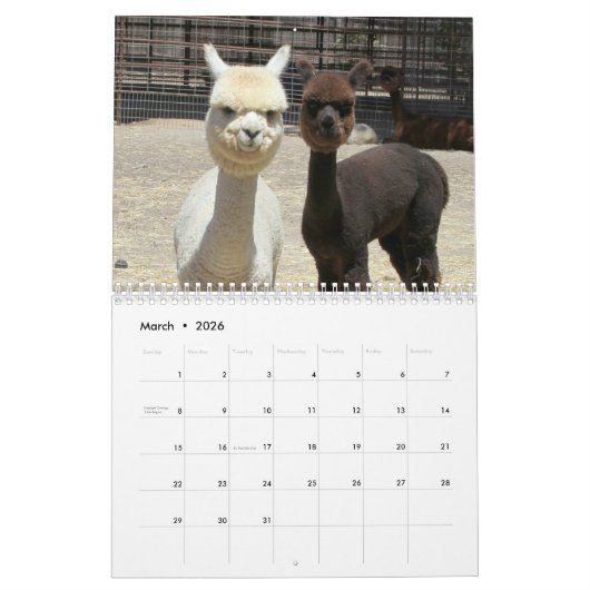 Agenda Alpaca 2023 Kalender (Mar 2026)