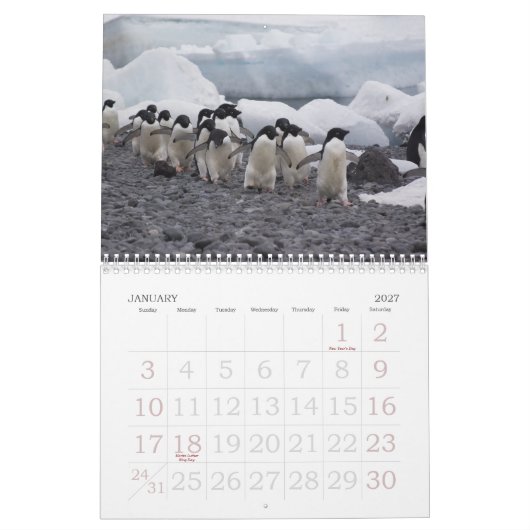 Agenda Antarctica Penguins Kalender (Jan 2027)