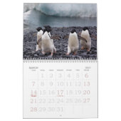 Agenda Antarctica Penguins Kalender (Mar 2027)