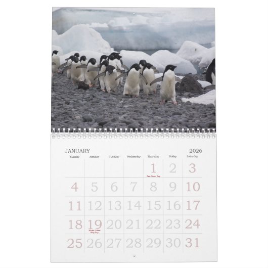 Agenda Antarctica Penguins Kalender (Jan 2026)