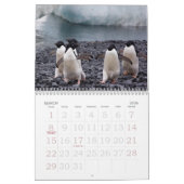 Agenda Antarctica Penguins Kalender (Mar 2026)