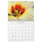 Agenda-Baby dollar! Ik hou van jullie kalenderbloe Kalender (Jan 2026)