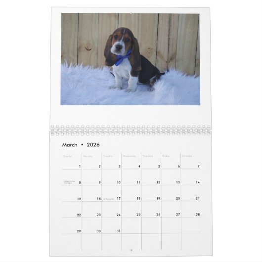agenda Basset hound Kalender (Mar 2026)