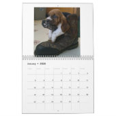 agenda Basset hound Kalender (Jan 2020)