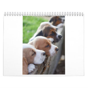agenda Basset hound Kalender