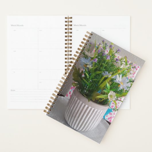 Agenda belleza natural (Display)