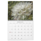 Agenda ~ Berries en zaaizaad Kalender (Mar 2027)