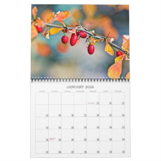 Agenda ~ Berries en zaaizaad Kalender (Jan 2026)