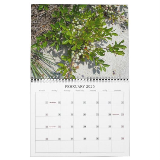 Agenda ~ Berries en zaaizaad Kalender (Feb 2026)