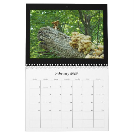 Agenda - bits en artikelen kalender (Feb 2026)