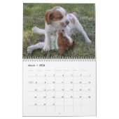 Agenda Brittany 2008 Kalender (Mar 2026)