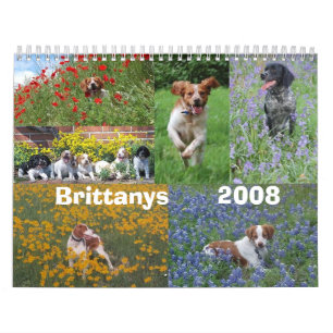 Agenda Brittany 2008 Kalender
