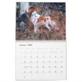 Agenda Brittany 2008 Kalender (Jan 2027)