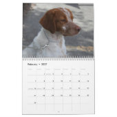 Agenda Brittany 2008 Kalender (Feb 2027)