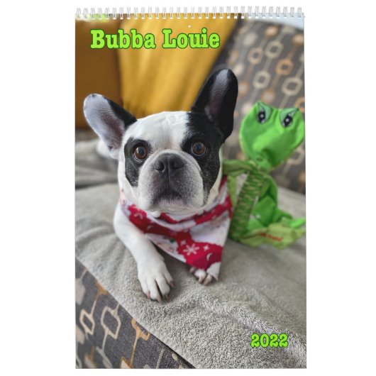 Agenda Bubba 2022 Kalender (Hoes)