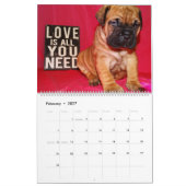 Agenda Bullmastiff 2016 Kalender (Feb 2027)