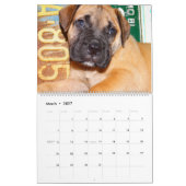 Agenda Bullmastiff 2016 Kalender (Mar 2027)