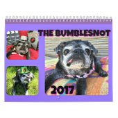 Agenda Bumblesnot 2017 Kalender (Hoes)