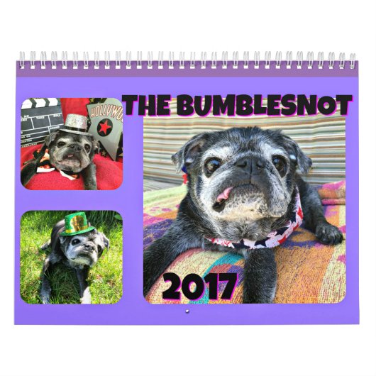 Agenda Bumblesnot 2017 Kalender (Hoes)
