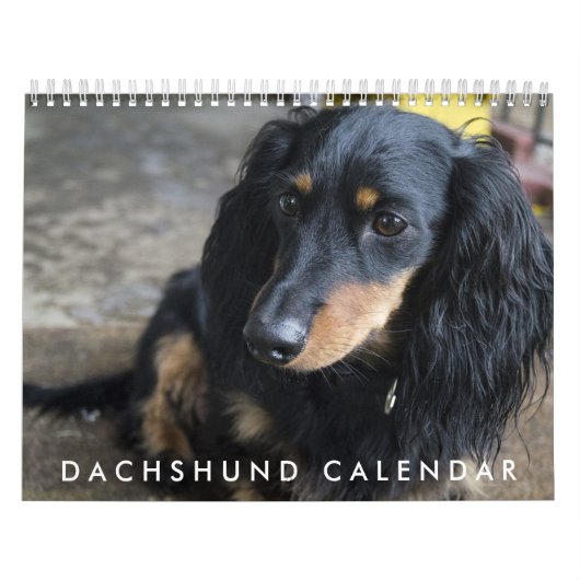 Agenda Dachshund 2016 Kalender (Hoes)