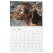 Agenda Dachshund 2016 Kalender (Jan 2027)