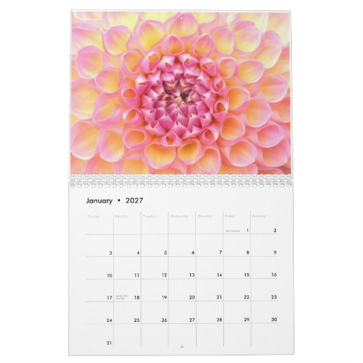 Agenda Dahlias 2011 Kalender (Jan 2027)