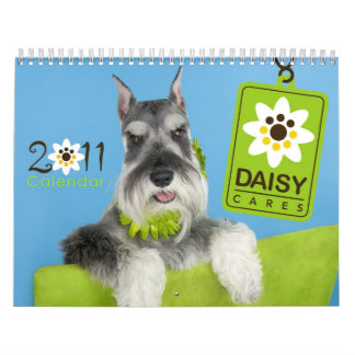 Agenda DaisyCares 2011 Kalender
