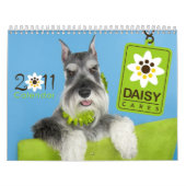 Agenda DaisyCares 2011 Kalender (Hoes)