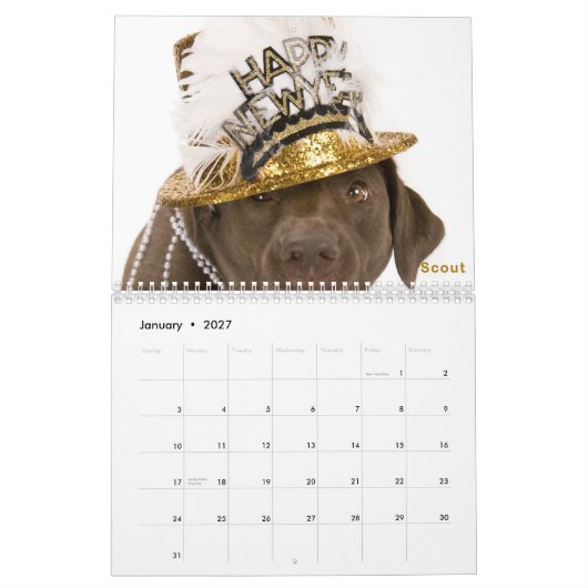 Agenda DaisyCares 2011 Kalender (Jan 2027)