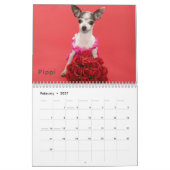 Agenda DaisyCares 2011 Kalender (Feb 2027)