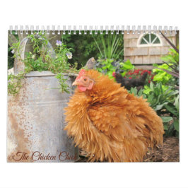 Agenda: De kuikens van de kip Kalender