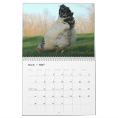 Agenda: De kuikens van de kip Kalender (Mar 2027)