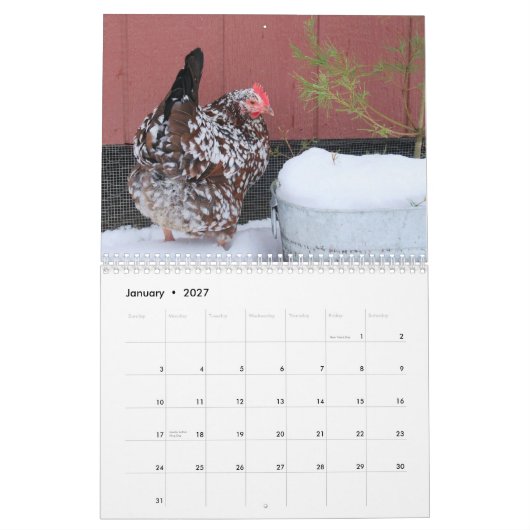 Agenda: De kuikens van de kip Kalender (Jan 2027)
