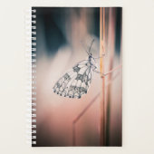 Agenda Demi-deuil (Voorkant)