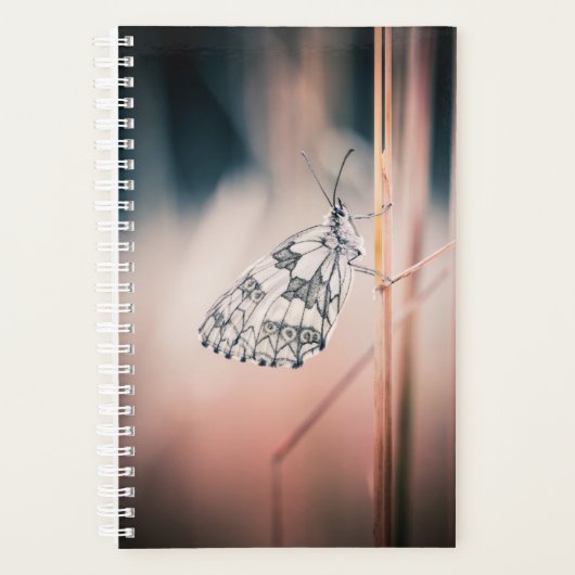 Agenda Demi-deuil (Voorkant)