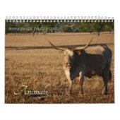 Agenda dieren kalender (Hoes)