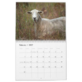 Agenda dieren kalender (Feb 2027)