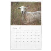 Agenda dieren kalender (Feb 2026)