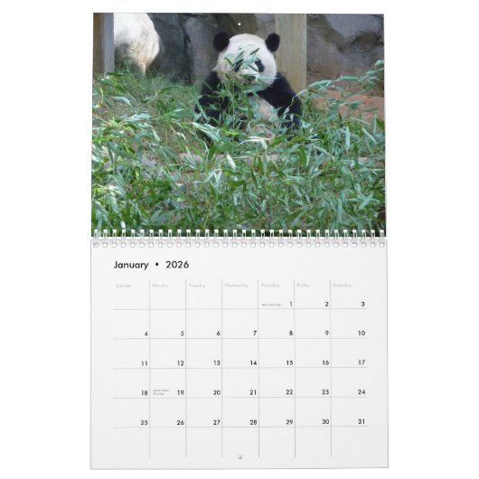 Agenda dierentuin 2019 kalender (Jan 2026)