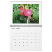 Agenda - door het prachtige Zee Kalender (Mar 2027)