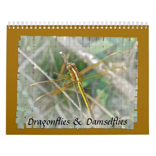 Agenda - Dragonflies & Damselflies Kalender (Hoes)