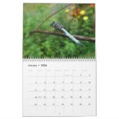 Agenda - Dragonflies & Damselflies Kalender (Jan 2026)