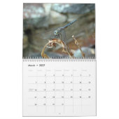 Agenda - Dragonflies & Damselflies Kalender (Mar 2027)