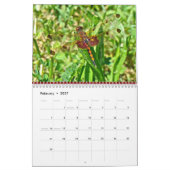 Agenda - Dragonflies & Damselflies Kalender (Feb 2027)