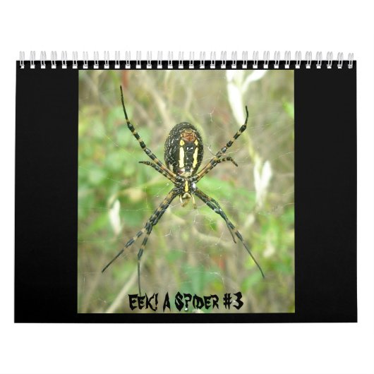 Agenda - Eek! Een spin #3 Kalender (Hoes)