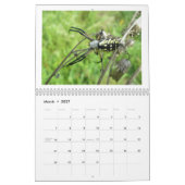 Agenda - Eek! Een spin #3 Kalender (Mar 2027)