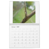 Agenda - Eek! Een spin #3 Kalender (Jan 2027)