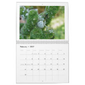 Agenda - Eek! Een spin #3 Kalender (Feb 2027)