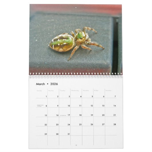 Agenda - EEK! Een spin. Kalender (Mar 2026)