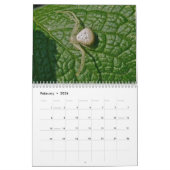 Agenda - EEK! Een spin. Kalender (Feb 2026)
